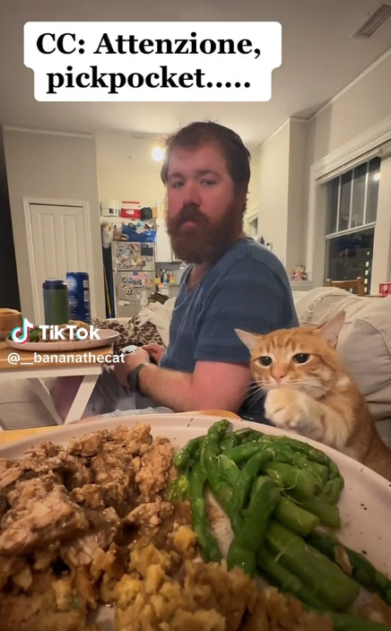 「Attenzione, borseggiatori!」(小心扒手!)口號曾成為洗腦歌。(互聯網)