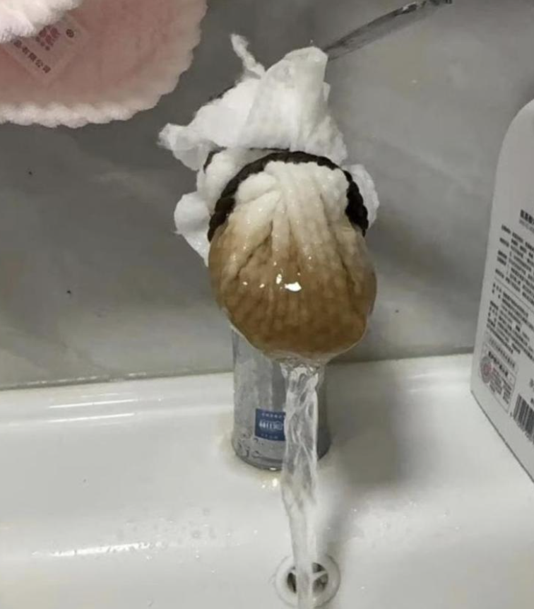 浙江省杭州市餘杭區日前多個屋苑自來水傳異味,網上流傳警方通報指事件是工人把自來水喉接駁下水糞水排污管網導致。公安部網安局周二(22日)公布,網傳資訊為謠言,發布有關資訊的網民已遭公安機關依法刑事拘留。