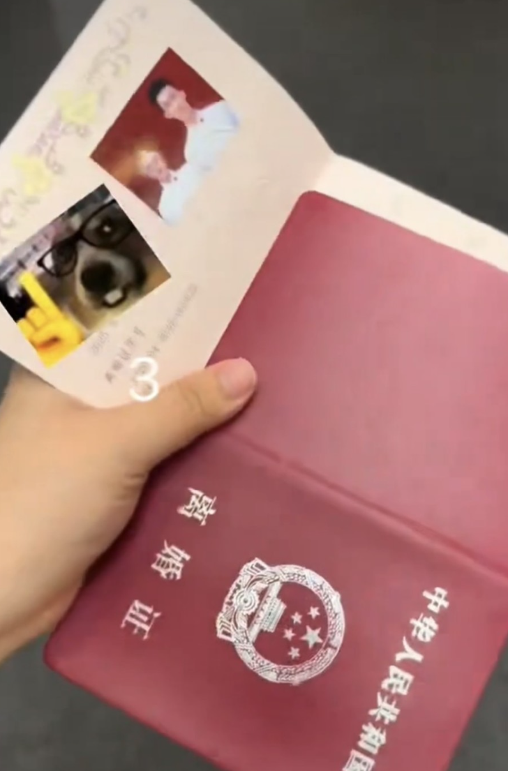 吉林長春一對新人到民政局辦理結婚登記,沒想到拿到手的竟是「離婚證」(網上圖片)