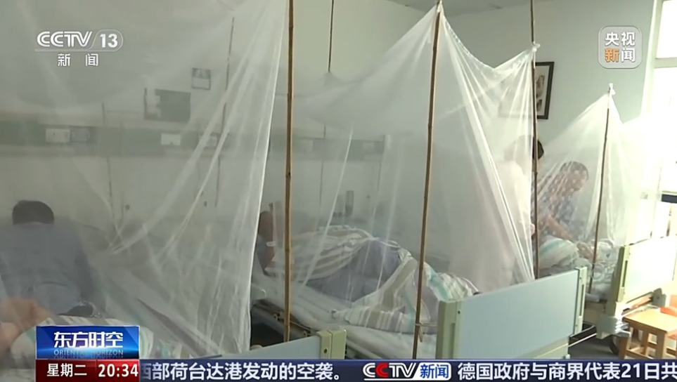 廣東省佛山至今已錄得2659宗基孔肯雅熱個案。順德區的樂從醫院收治了400多名基孔肯雅熱患者,院方在專門收治患者的區域,所有病床都加裝蚊帳,確保患者不再被蚊叮咬。(央視)