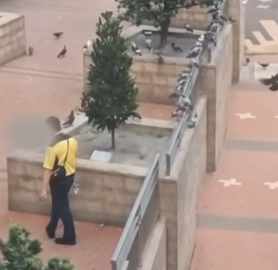 一名身穿港鐵制服的男子於坑口站B出口外,向聚集的雀鳥多次噴灑不明液體,疑在驅趕鳥群。(香港救援鳩鴿及雀鳥fb影片截圖)