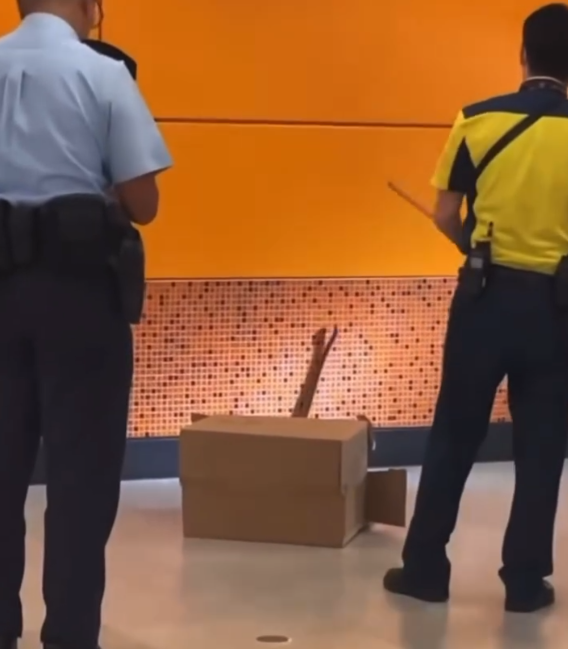 警方周五傍晚接近7時接到市民報案,指港鐵啟德站有出口位置出現蛇的蹤影(Threads)