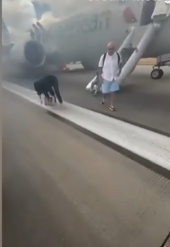 美國航空波音客機跑道冒煙起火 173乘客驚險逃生(有片)