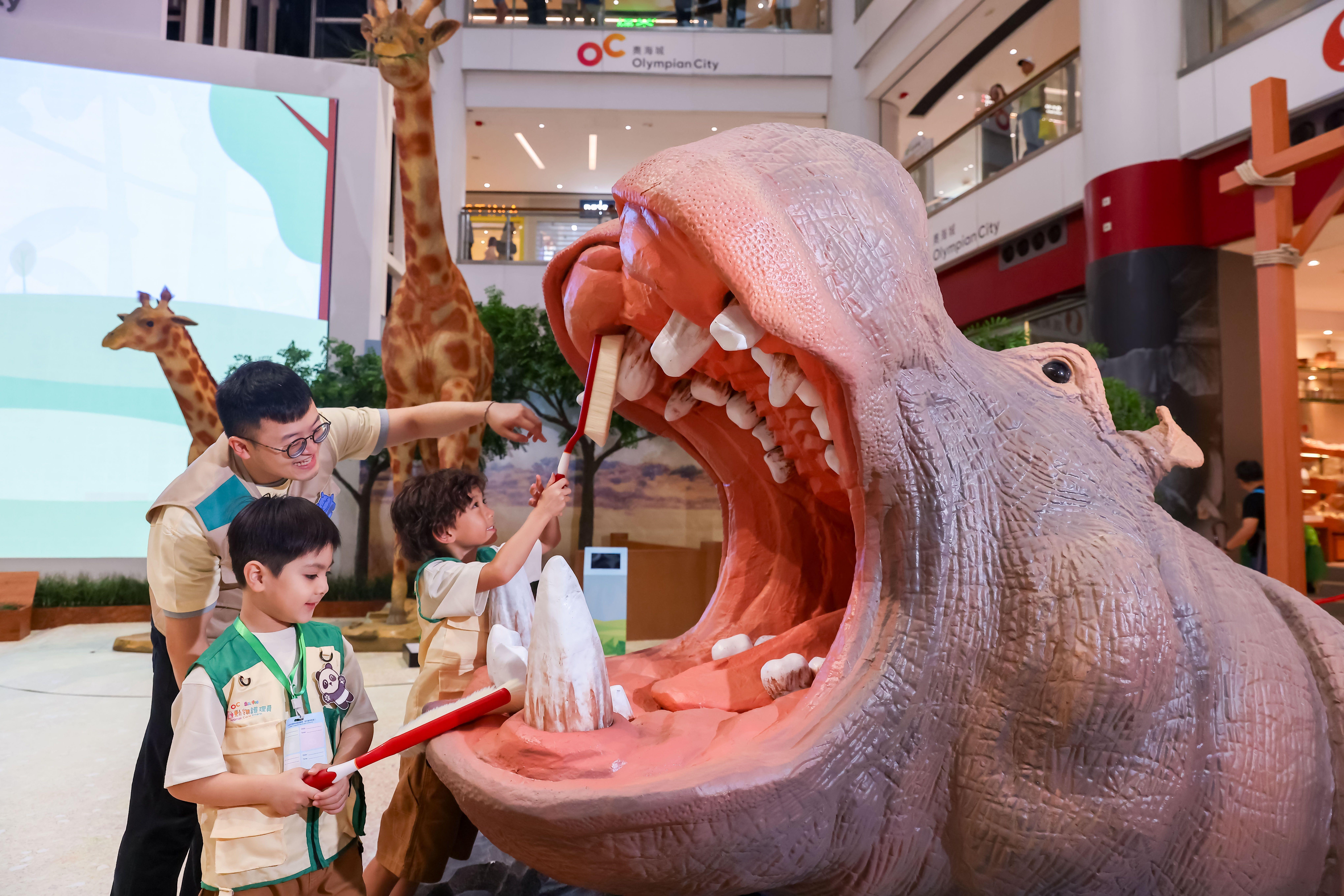 非洲大草原 - 為河馬檢查及清潔牙齒