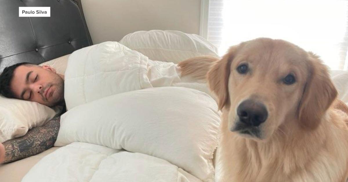 Paulo與Archie重聚後生活。(FB)