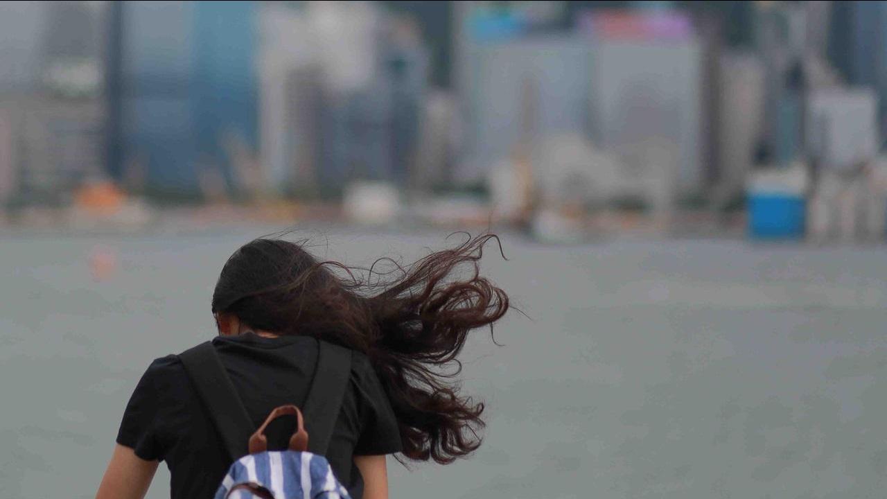 颱風韋帕襲港