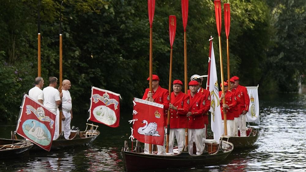 參與天鵝普查的人員在泰晤士河乘坐小艇巡查。(AP)