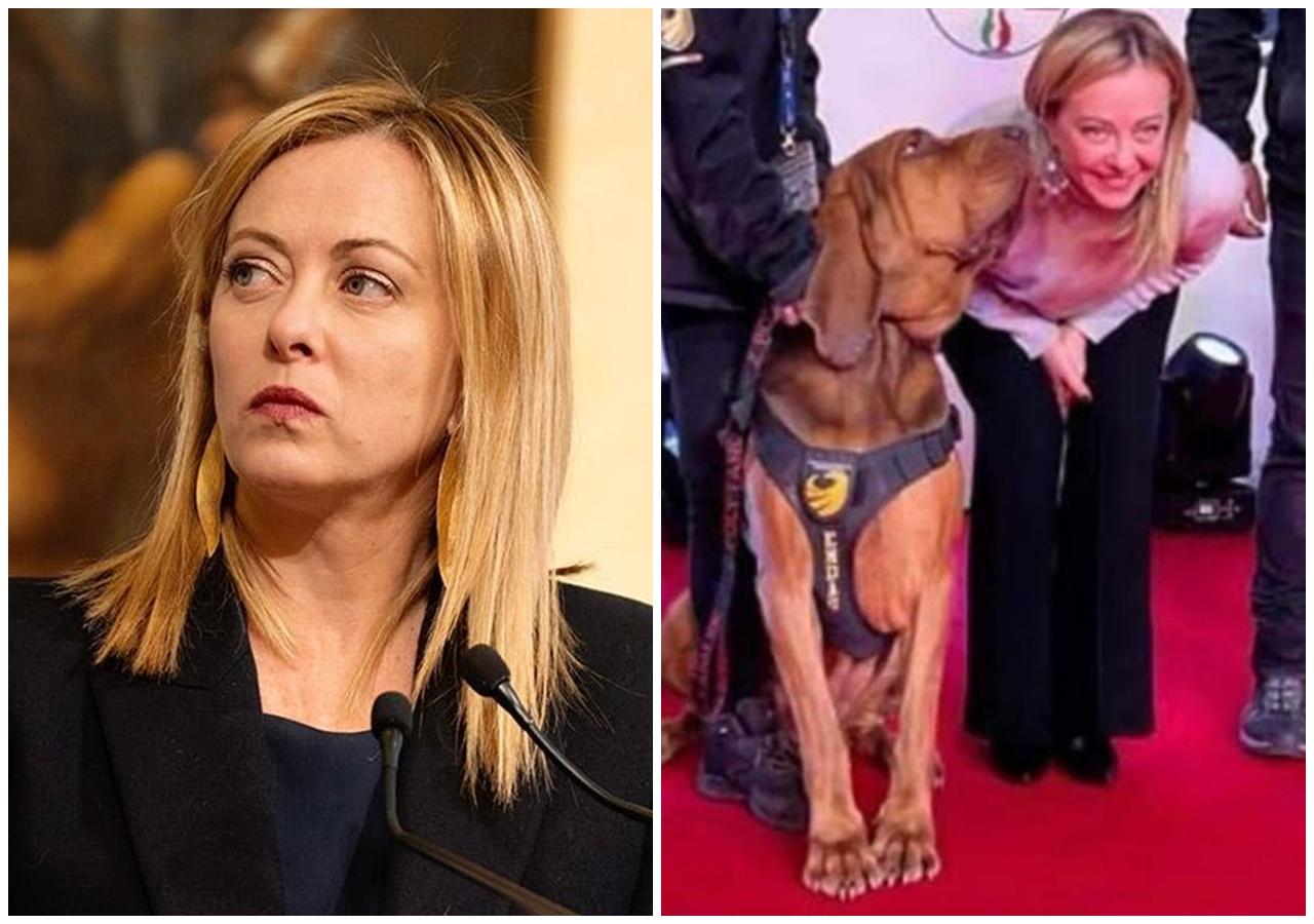 曾表揚Bruno的總理梅洛尼。(X)