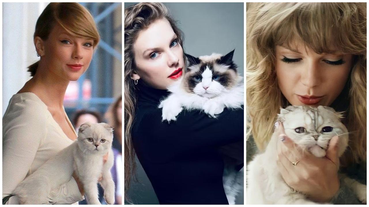 Taylor Swift帶動Z世代養貓潮,英國貓奴將超越狗奴。(X)