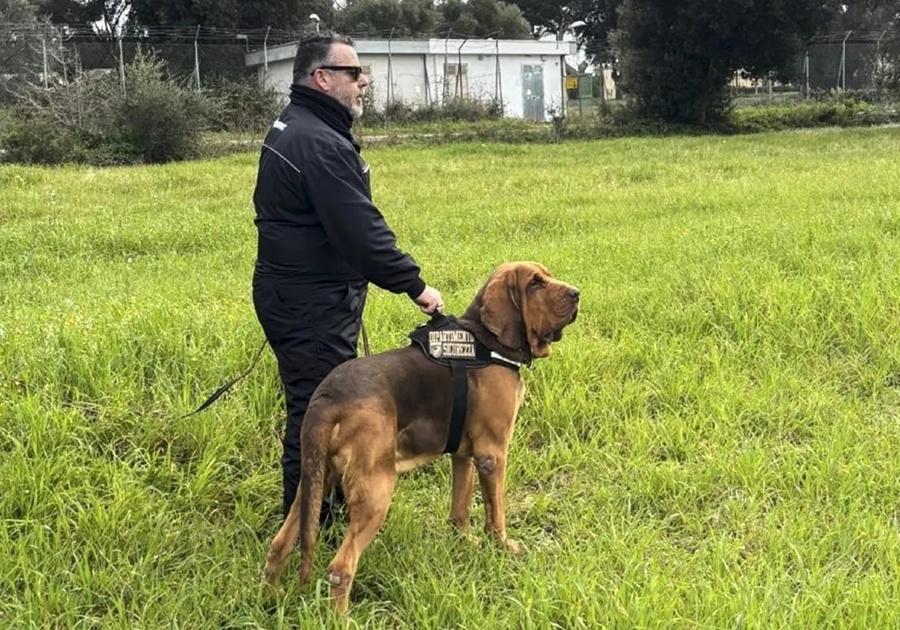 警犬Bruno與訓練員Arcangelo Caressa。(X)