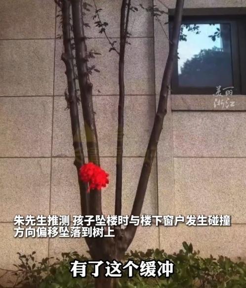 男童父親推測,孩子墜樓時與樓下窗戶發生碰撞,方向偏移墜落到樹上而得到緩衝。(微博)