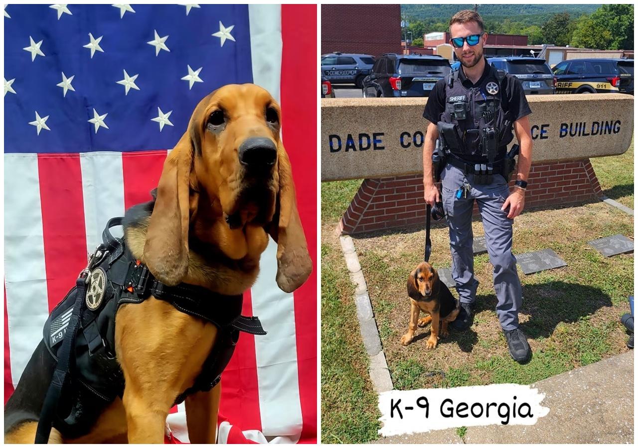 剛上任警犬被留警車活活焗死,粗心領犬員遭開除。(X)