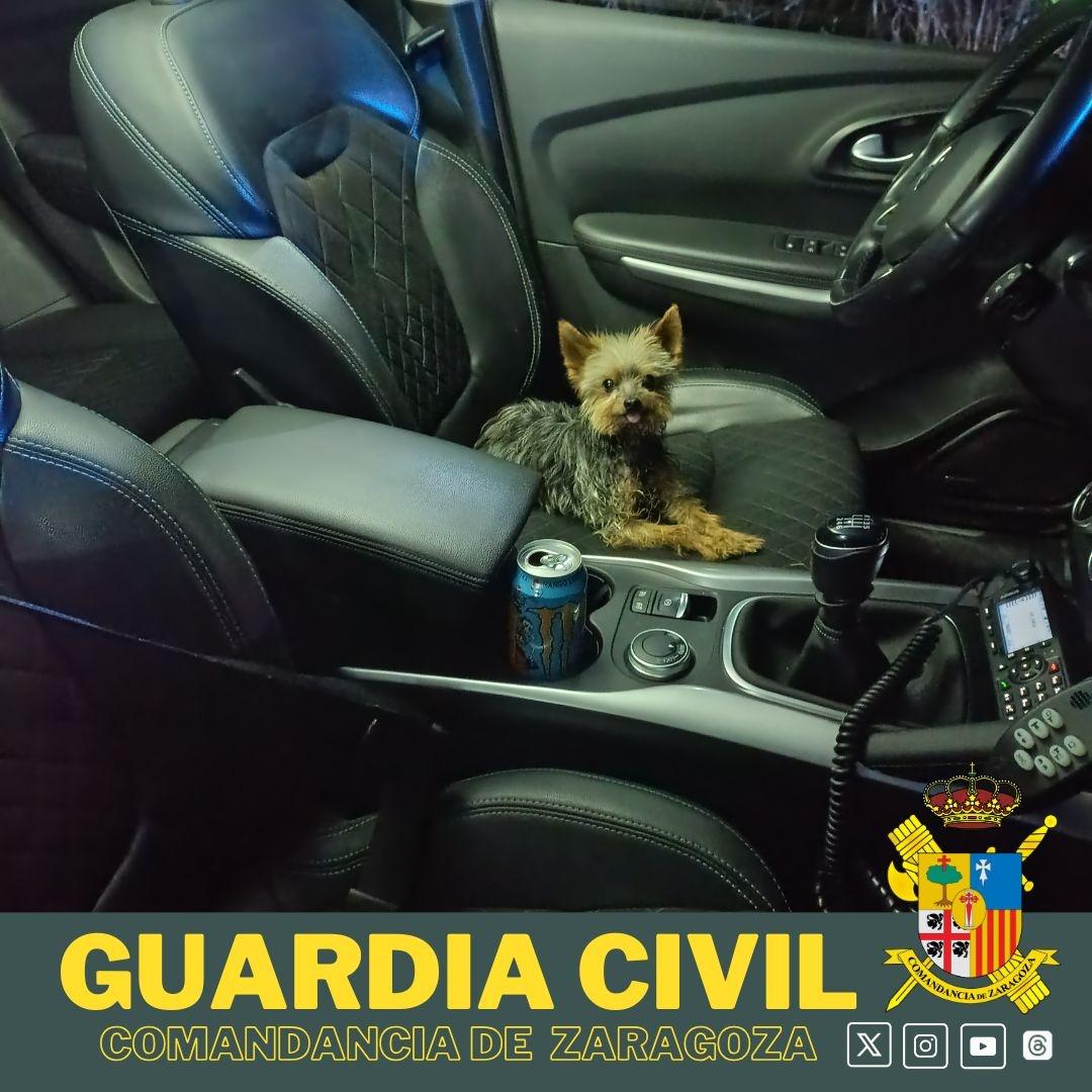 Lucas則是搭著免費警車安全回到家中。(X)