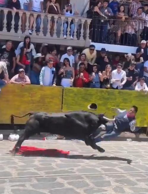 一隻黑色公牛已經衝過來直接把男子撞飛。(X)