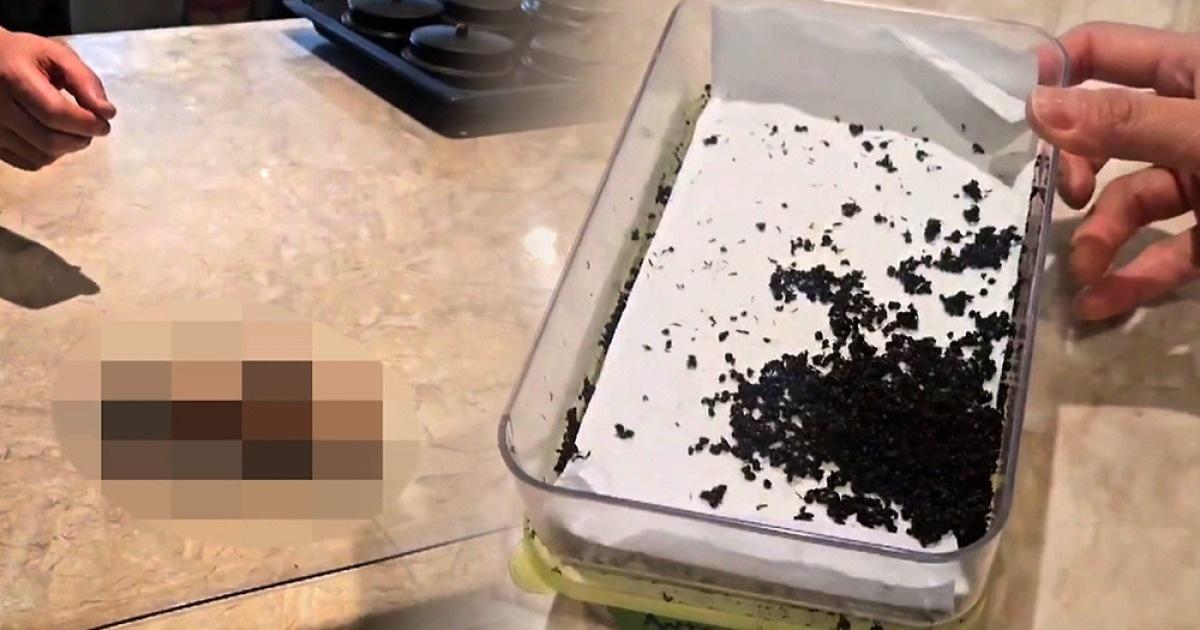 南韓食品醫藥品安全處指,負責人透過媒體、節目大方介紹這道料理。(X)