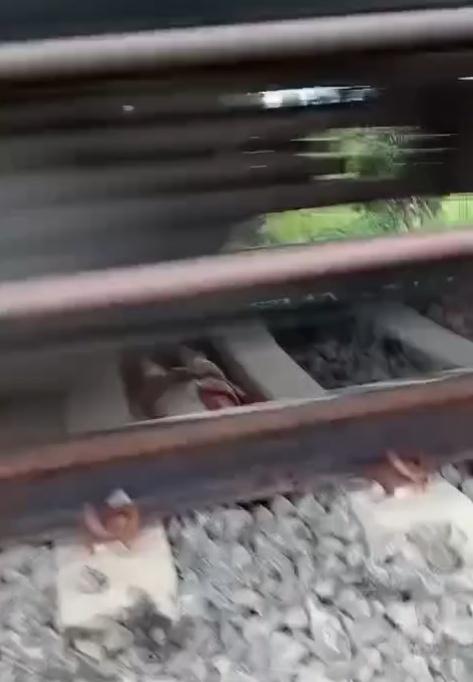 網上影片顯示,火車快速駛過時,躺在路軌間的男童動也不動。(IG)