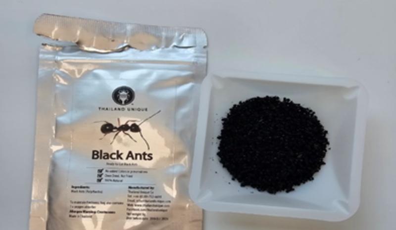 甜品「螞蟻雪葩」將3至5隻由泰國及美國進口螞蟻淋於雪葩上,以增添酸味。(X)