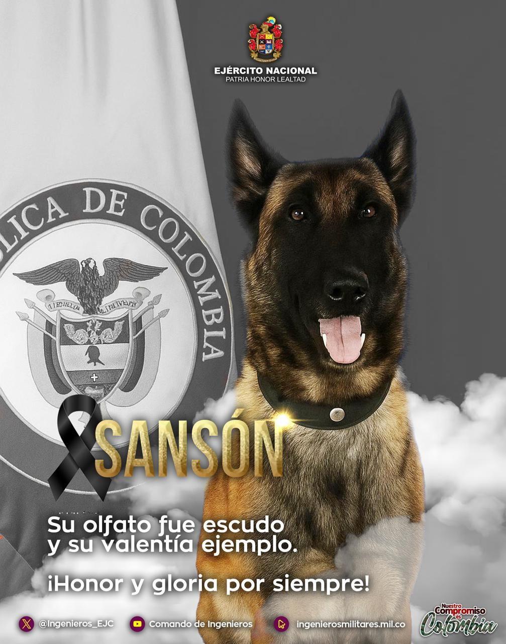 Sanson隨後傷勢惡化,留醫一星期後離世。(X)