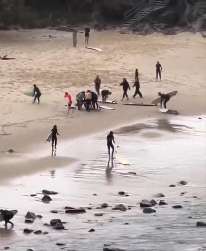 多人合力將受傷少年救出水面,移至地面。(X)