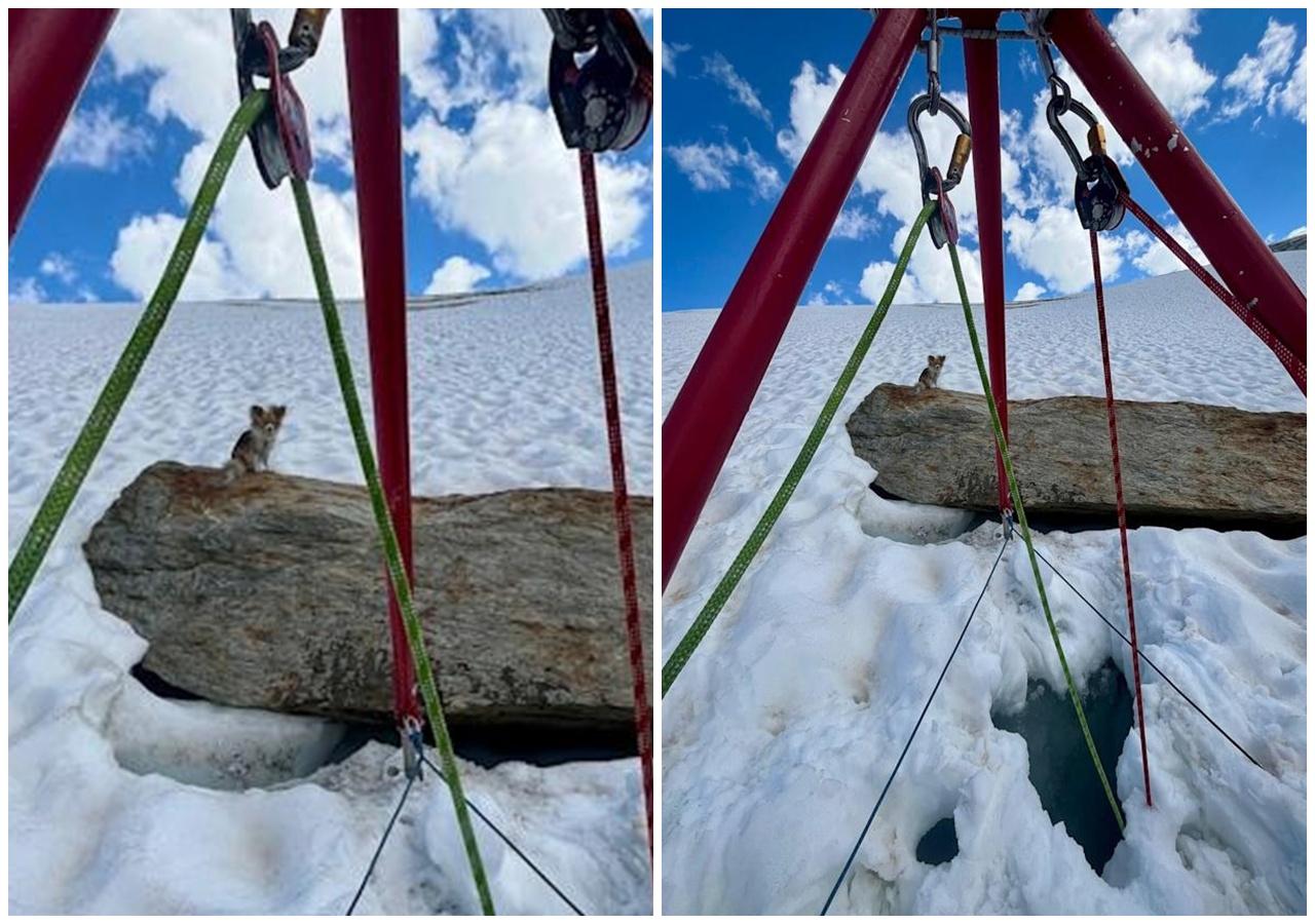 幸得狗狗走動,令救援隊得以確定位事故現場。(X)