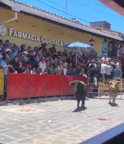 至於兩隻公牛的下場,最終一般都是被殺。(X)