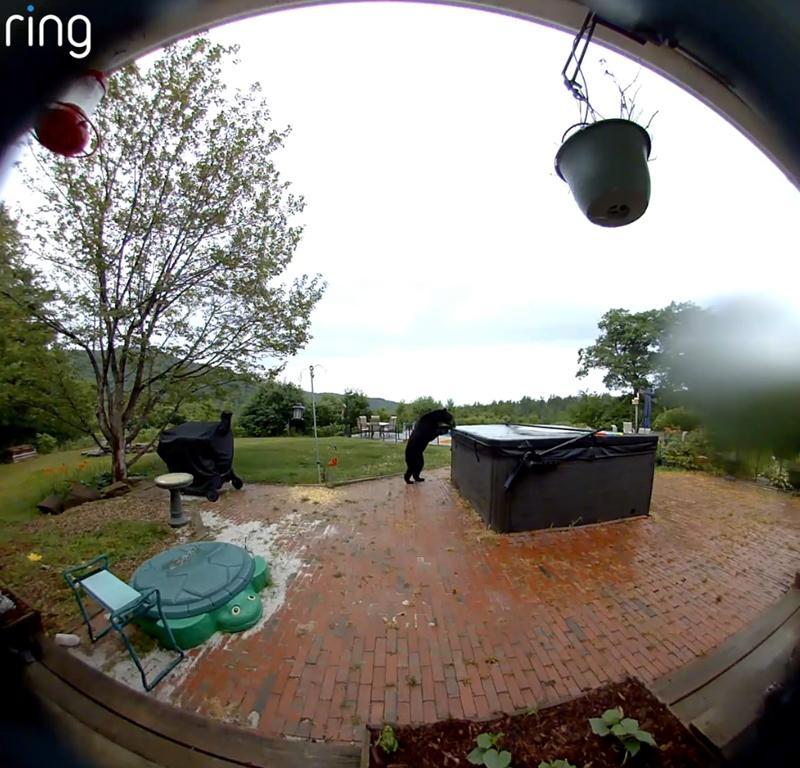 有人笑說:「熊離開前對熱水浴池表示不捨」。(FB)