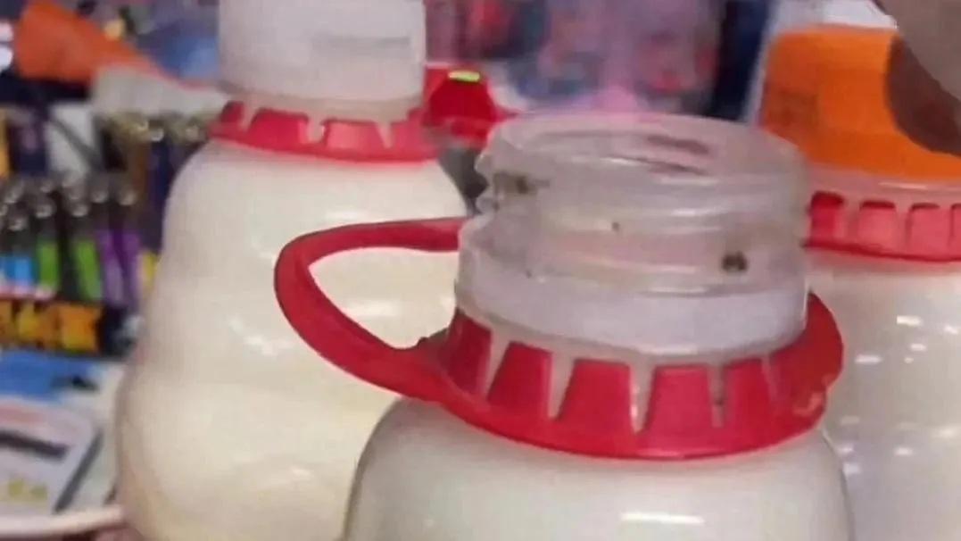 有雲南市民在超市購買娃哈哈的「營養快線」飲品,開蓋後驚現活蛆蟲。(網片截圖)