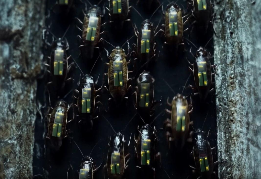 這些機械蟑螂還具備集群智能協作能力,單隻可獨立作業。(Swarm Biotactics官網截圖)