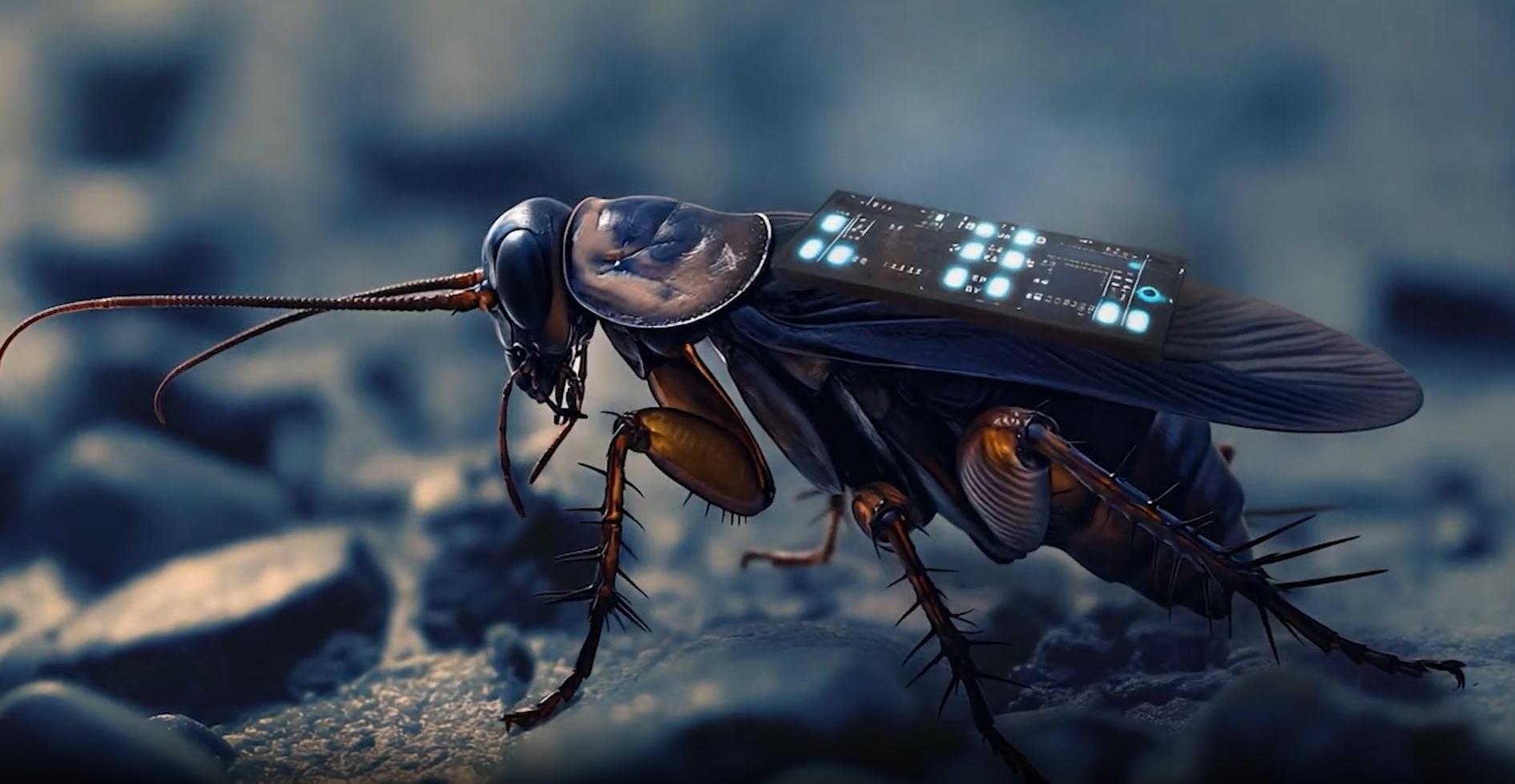 這些蟑螂背上安裝微型控制模組,包括神經刺激電極、傳感器及通訊裝置。(Swarm Biotactics官網截圖)