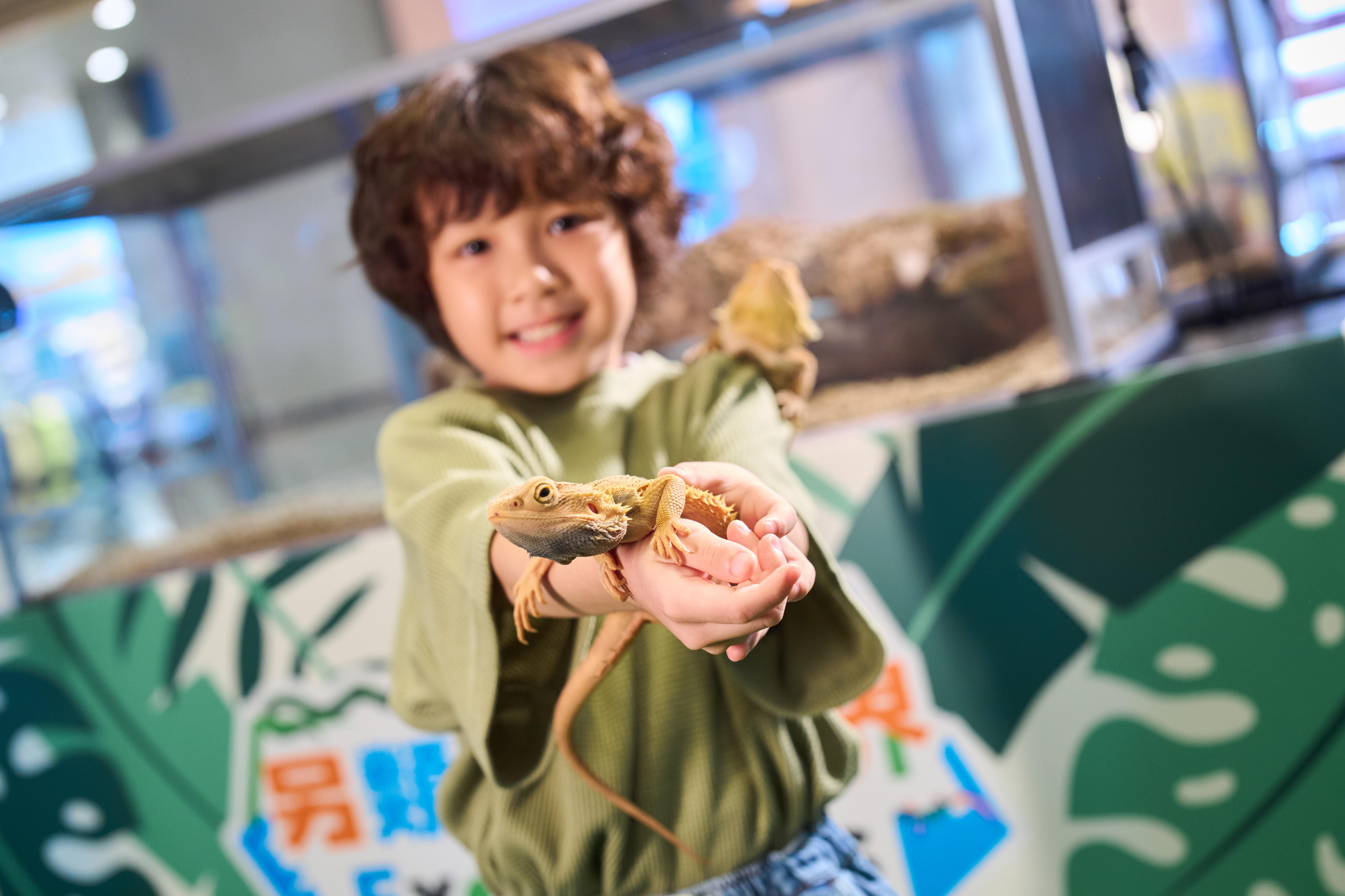 12 種珍稀異寵集結「兩棲及爬蟲展區」探索自然的奇妙與科學的奧祕