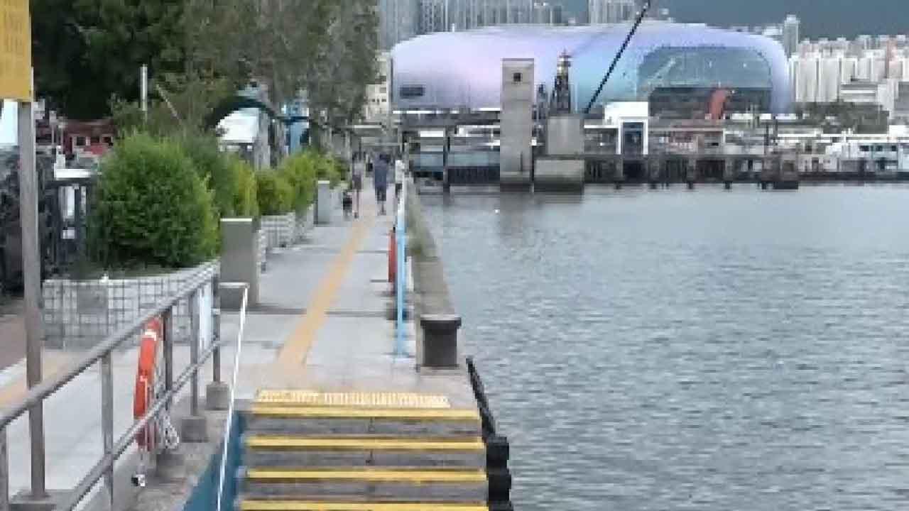 9歲童遭陌生人推落海 23歲男子被捕