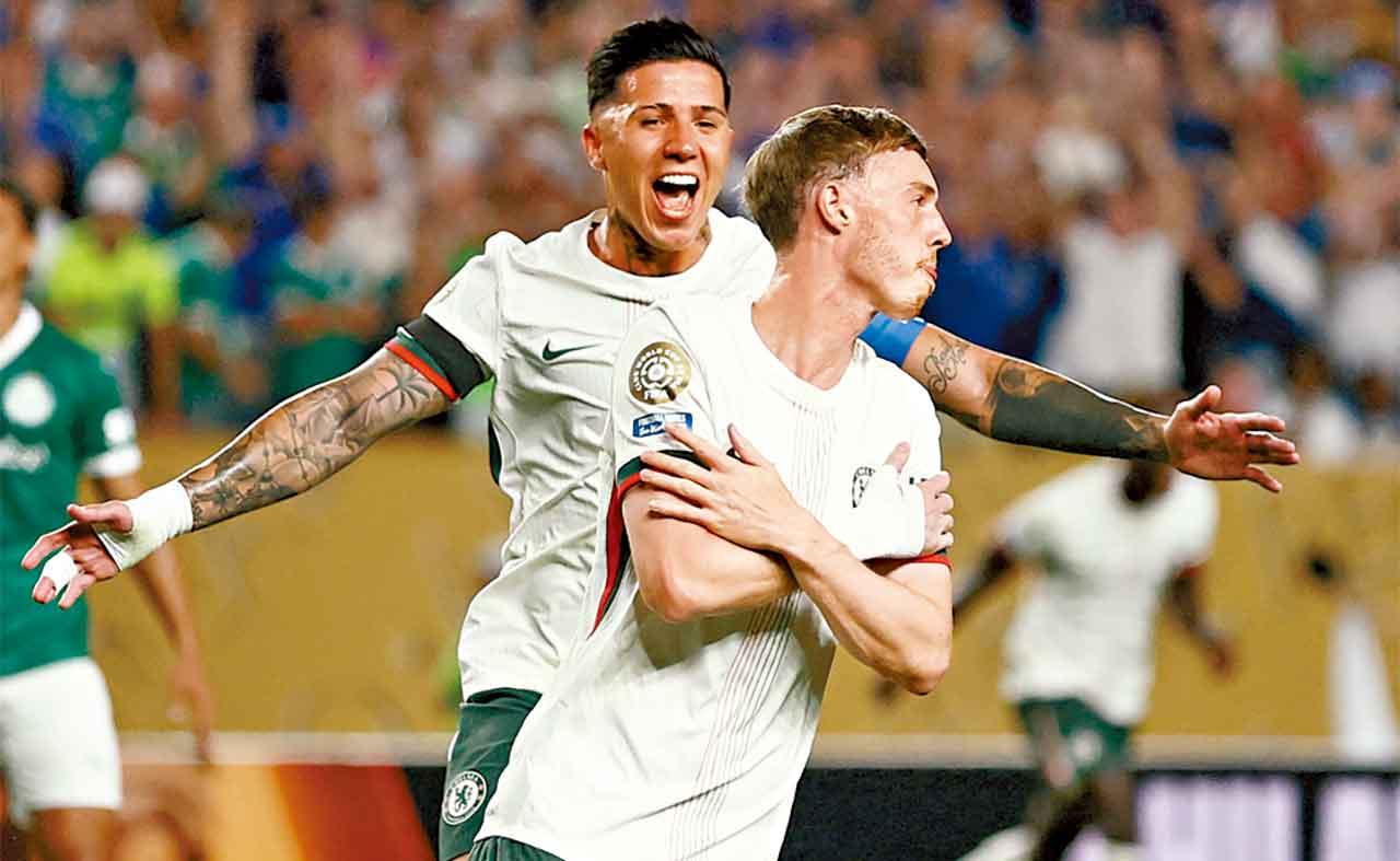 安素費南迪斯與彭馬