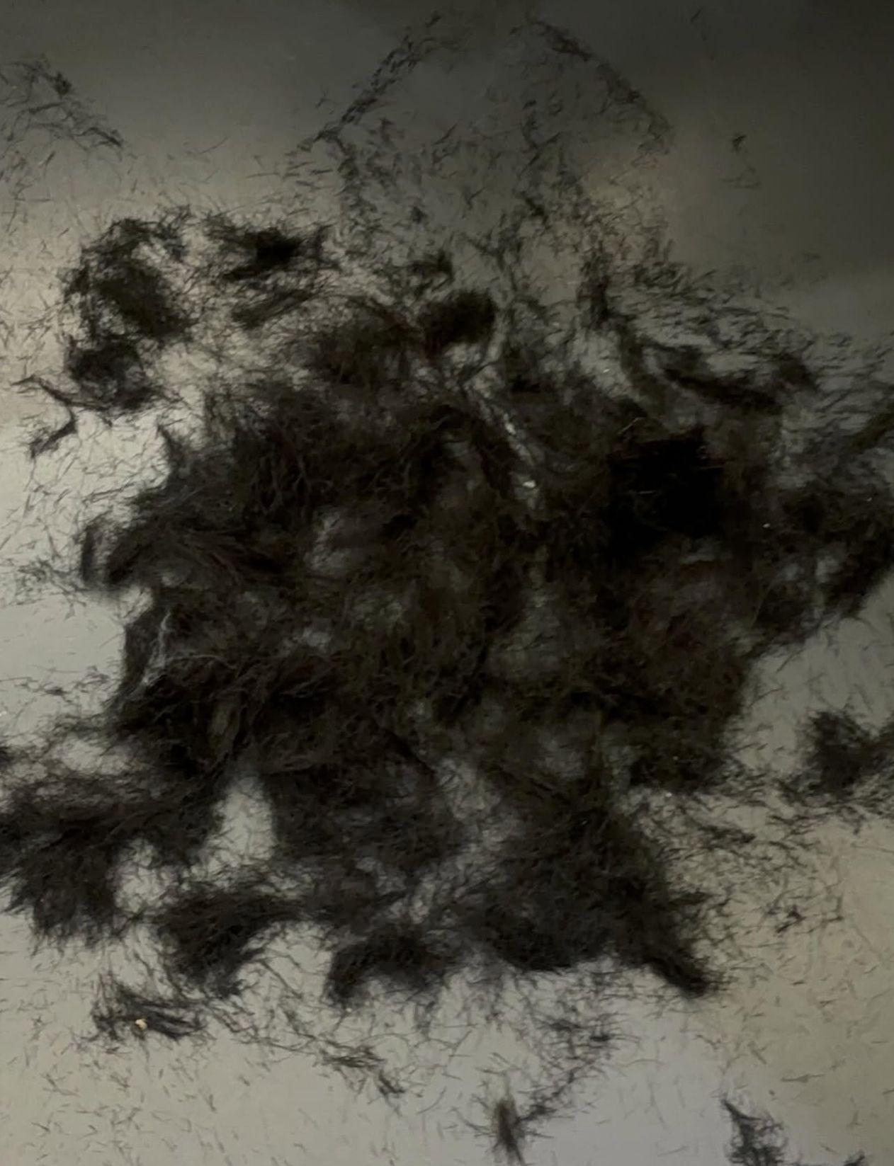 車銀優昨日在社交網貼出自己已剪髮為入伍作好準備。