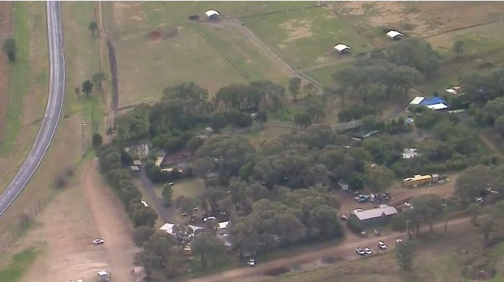 澳洲動物園獅子發狂 50多歲女子手臂遭咬斷