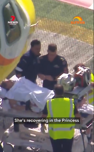 澳洲動物園獅子發狂 50多歲女子手臂遭咬斷