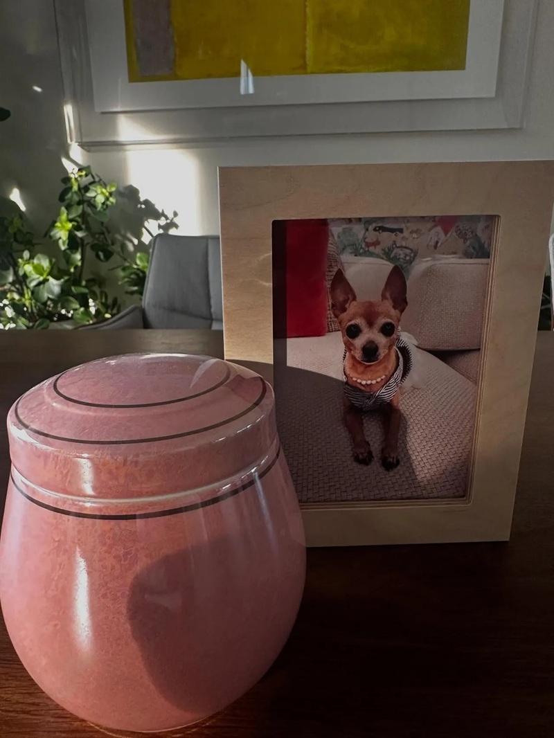 Chococ骨灰存放於家中。