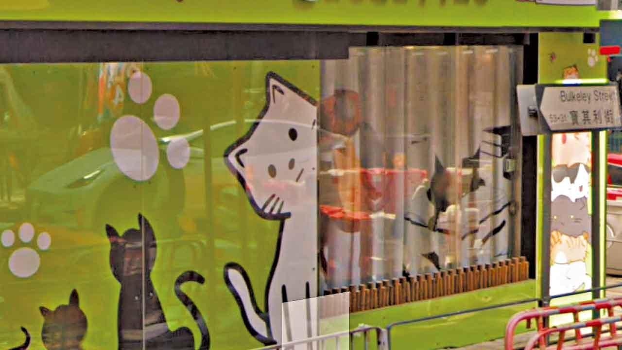 紅磡一寵物店發生懷疑盜竊案。