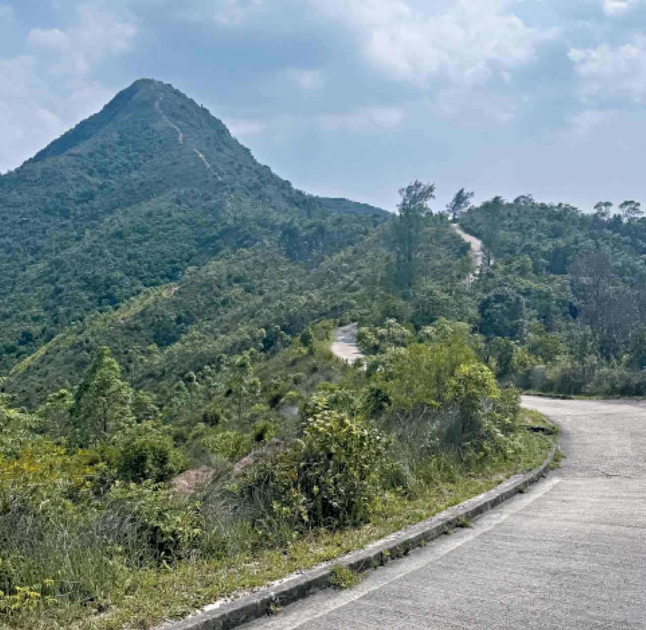 烈陽挑戰針山看似艱難,一步一步的也可征服。