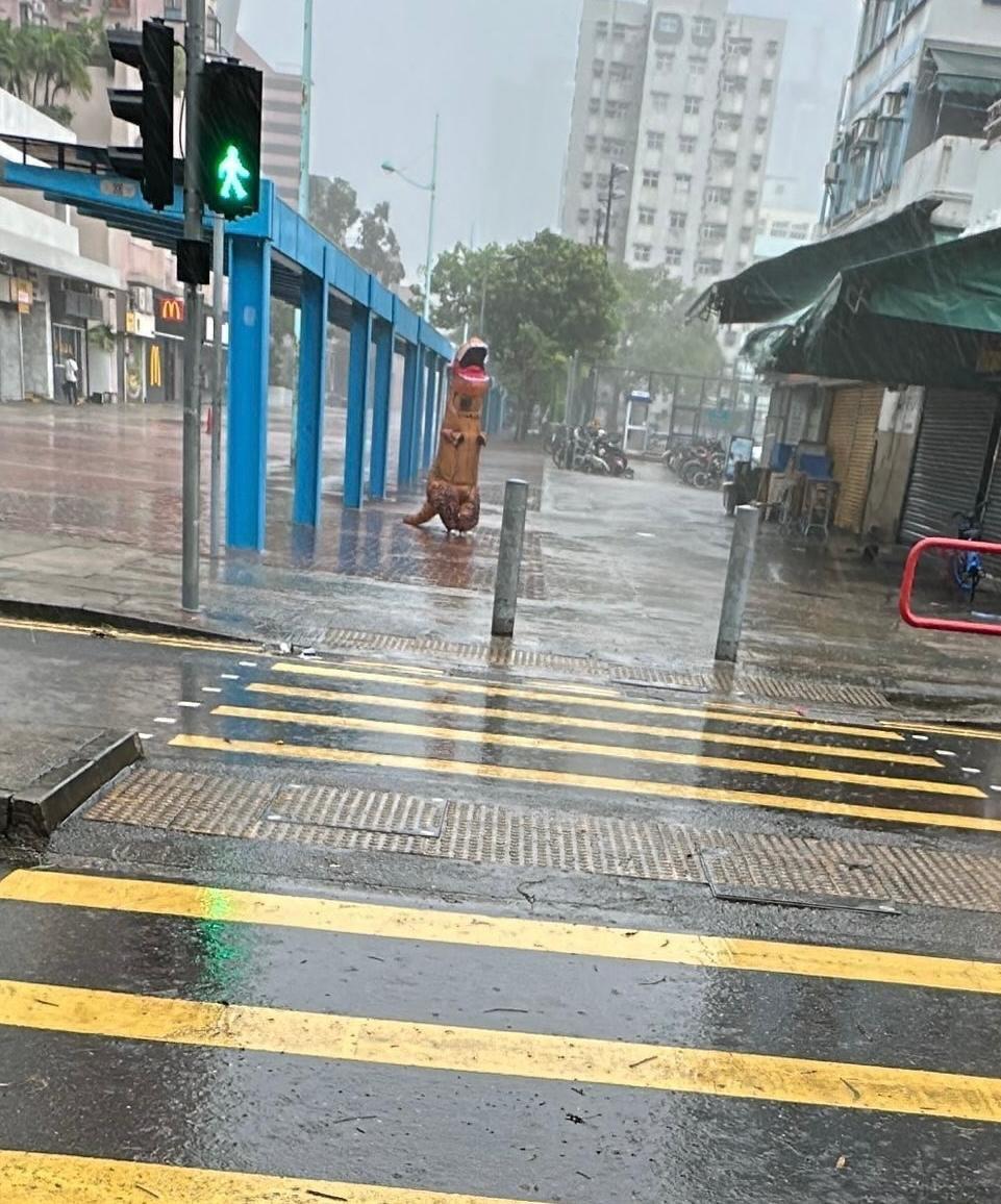 颱風韋帕|十號風球動物逃脫? 元朗有恐龍下雨狂奔 將軍澳「熊貓」將軍澳追風|網上熱話 (@Threads網上影片截圖)