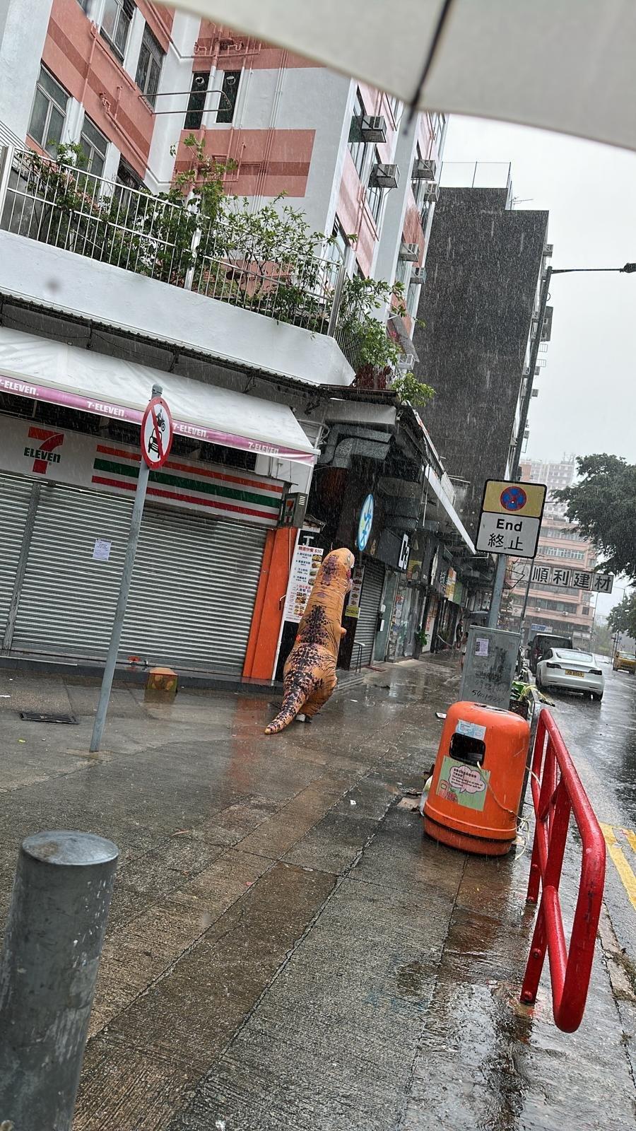 颱風韋帕|十號風球動物逃脫? 元朗有恐龍下雨狂奔 將軍澳「熊貓」將軍澳追風|網上熱話 (@Threads網上影片截圖)