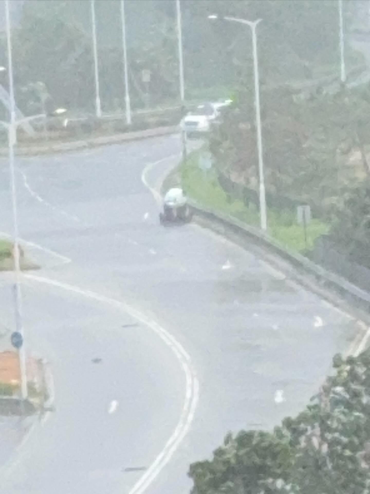 颱風韋帕|十號風球動物逃脫? 元朗有恐龍下雨狂奔 將軍澳「熊貓」將軍澳追風|網上熱話 (@Threads網上影片截圖)