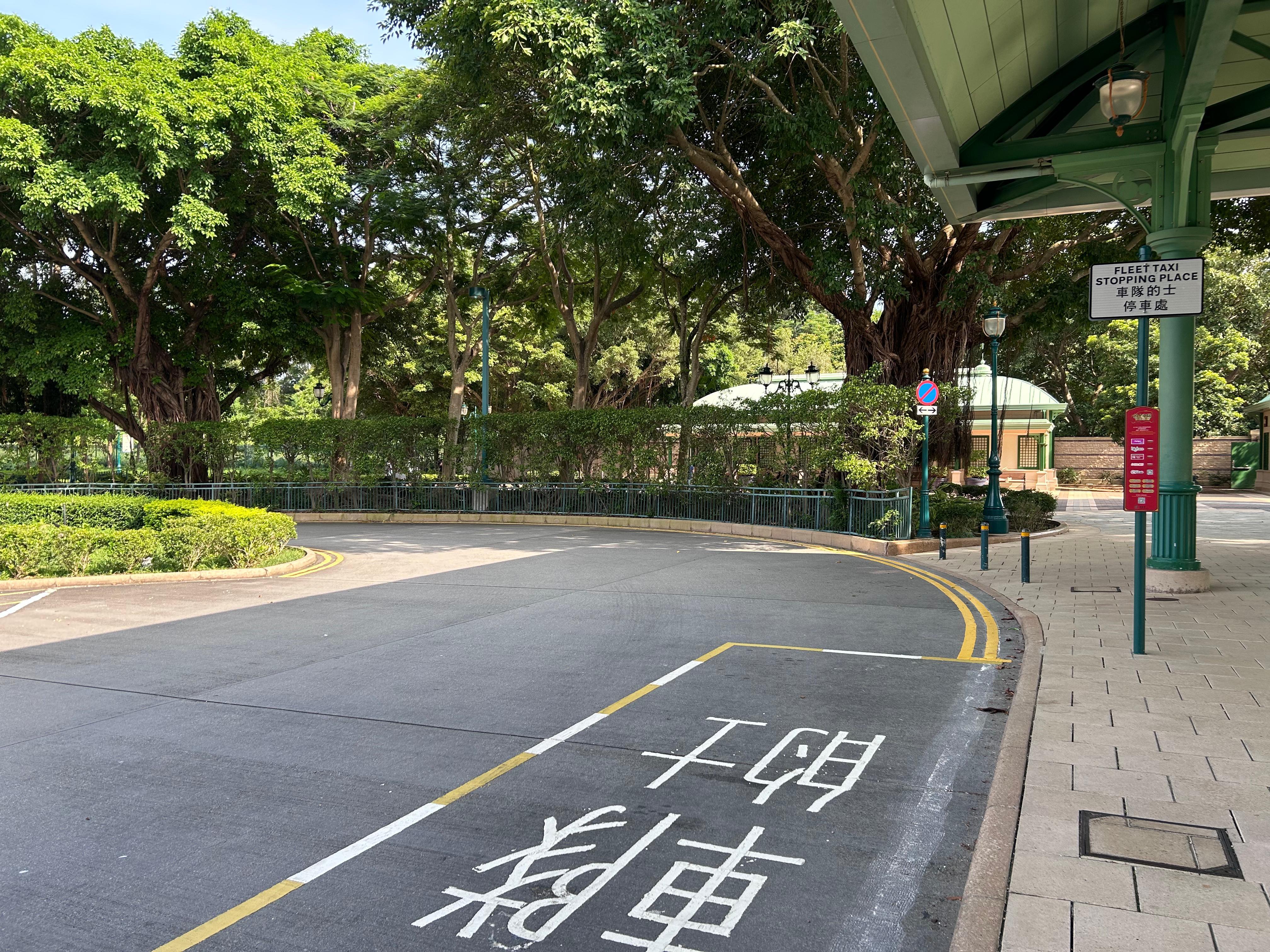 圖示設於迪士尼樂園幻想道公共運輸交匯處的車隊的士停車處。(政府新聞處)