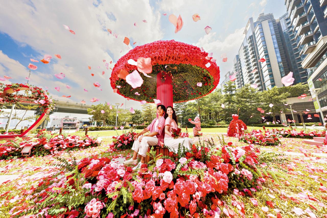 北角匯 北角海濱花園