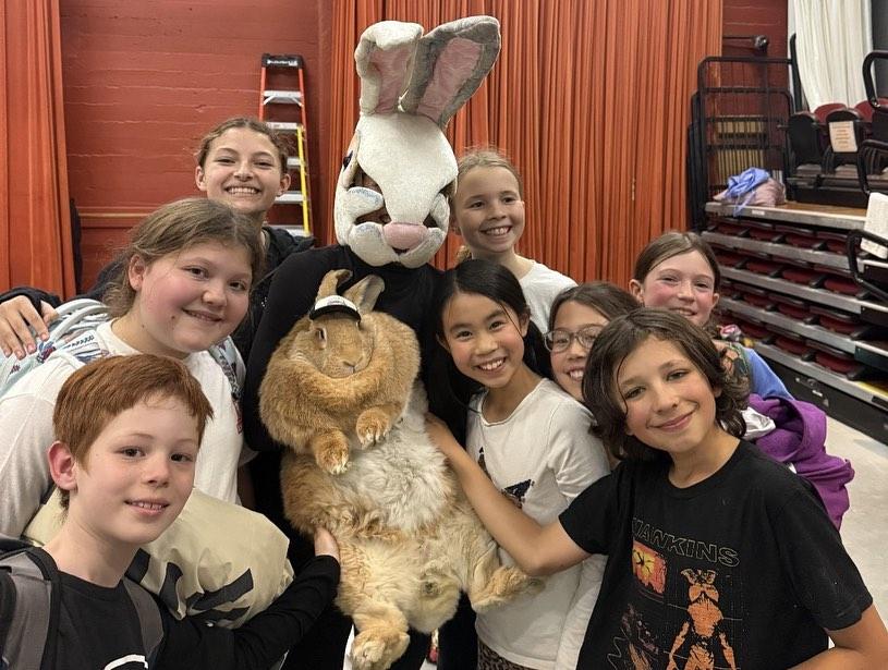 美國知名治療兔Alex The Great IG擁有5.5萬Followers。