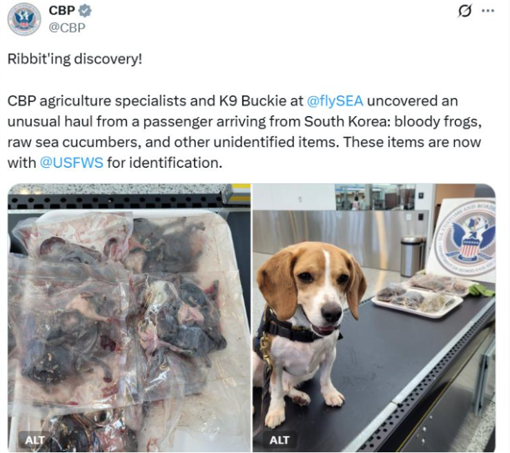 來自南韓旅客帶血淋淋生肉闖關 遭美國檢疫犬揭發