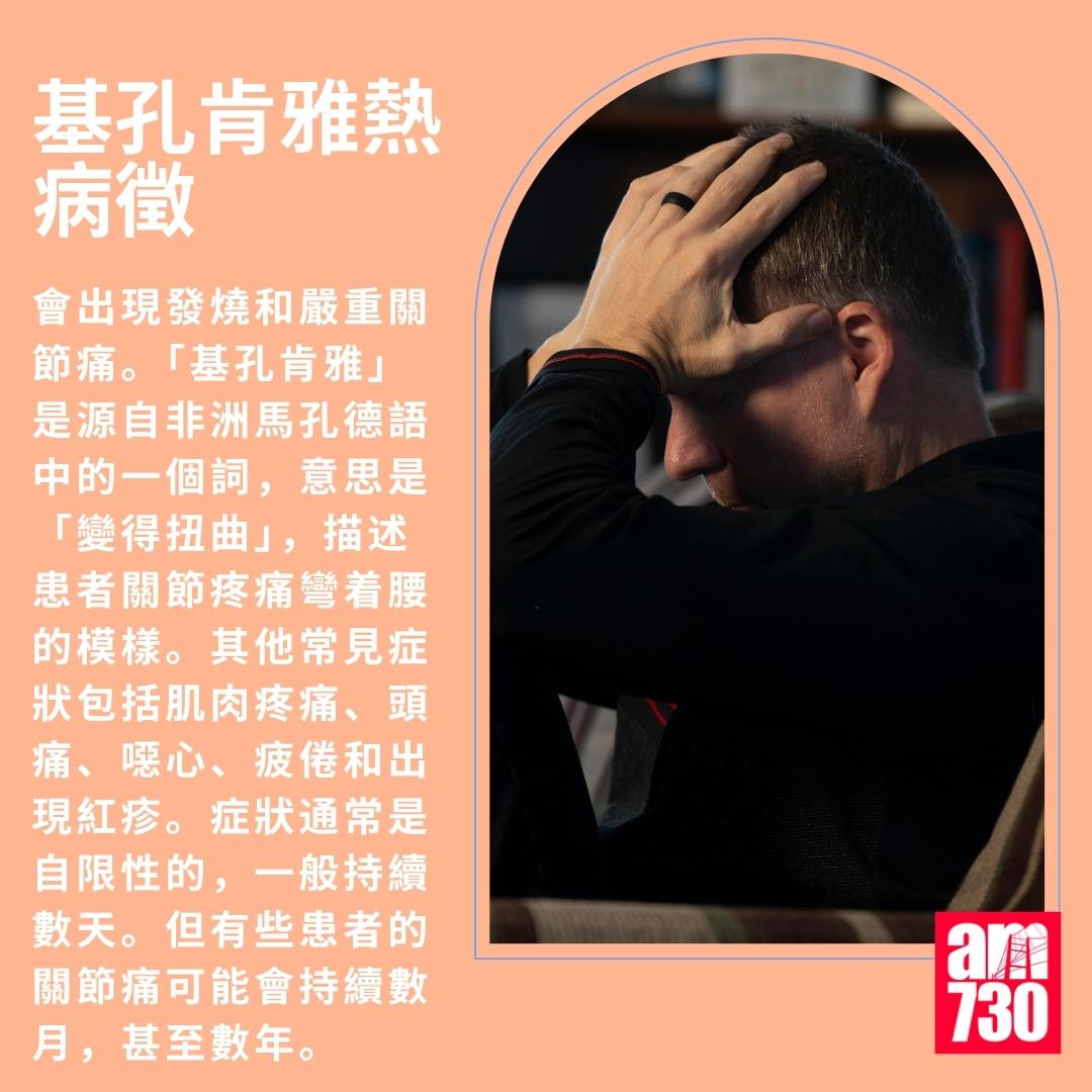 基孔肯雅熱|病徵(am730製圖)