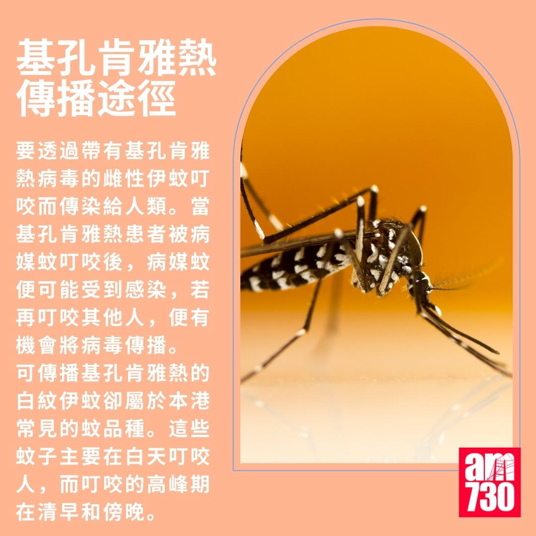 基孔肯雅熱|傳播途徑(am730製圖)