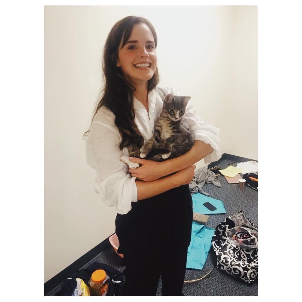 愛瑪屈臣正在牛津大學攻讀創意寫作碩士學位。