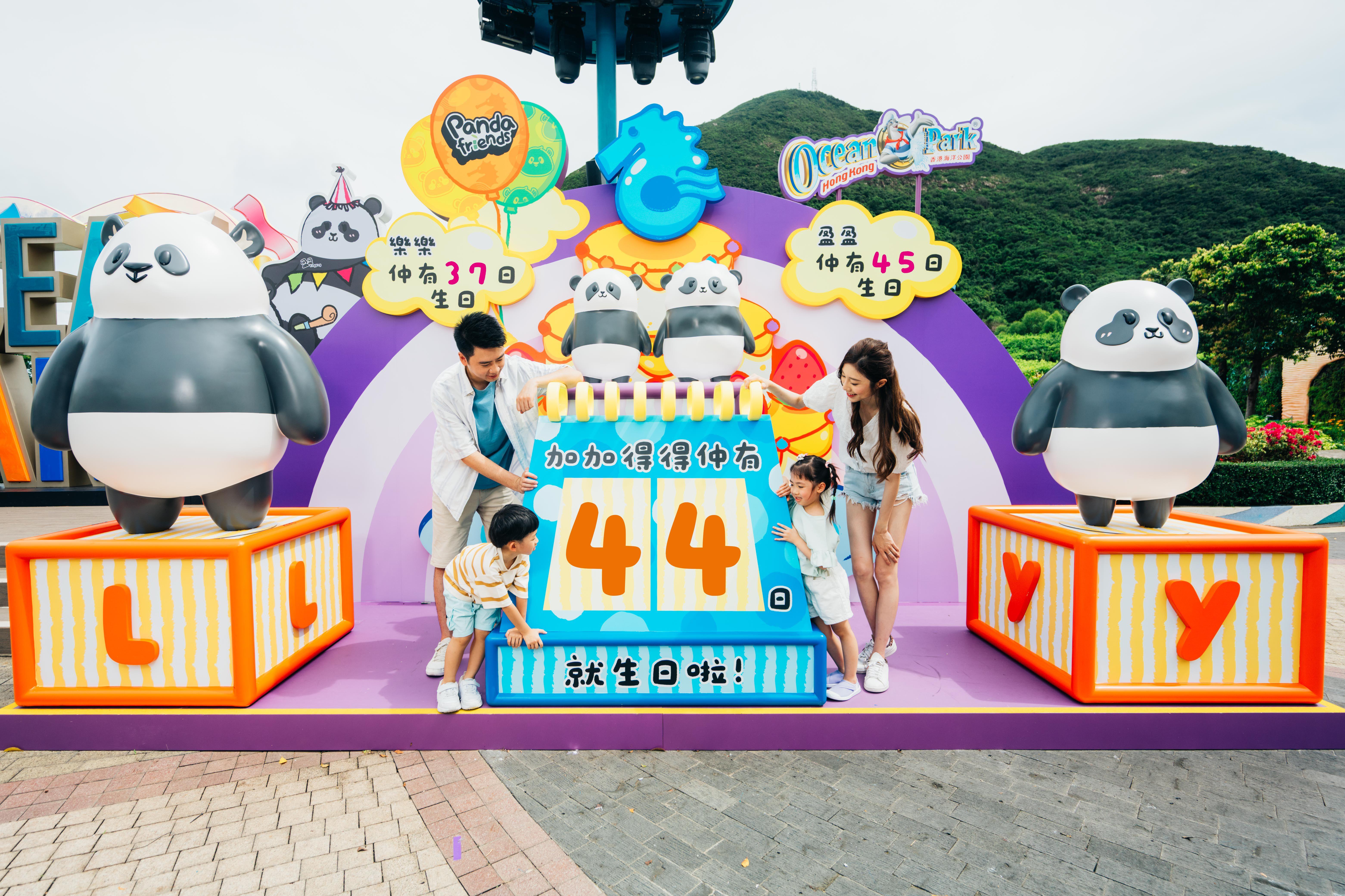 「大熊貓生日倒數日曆」