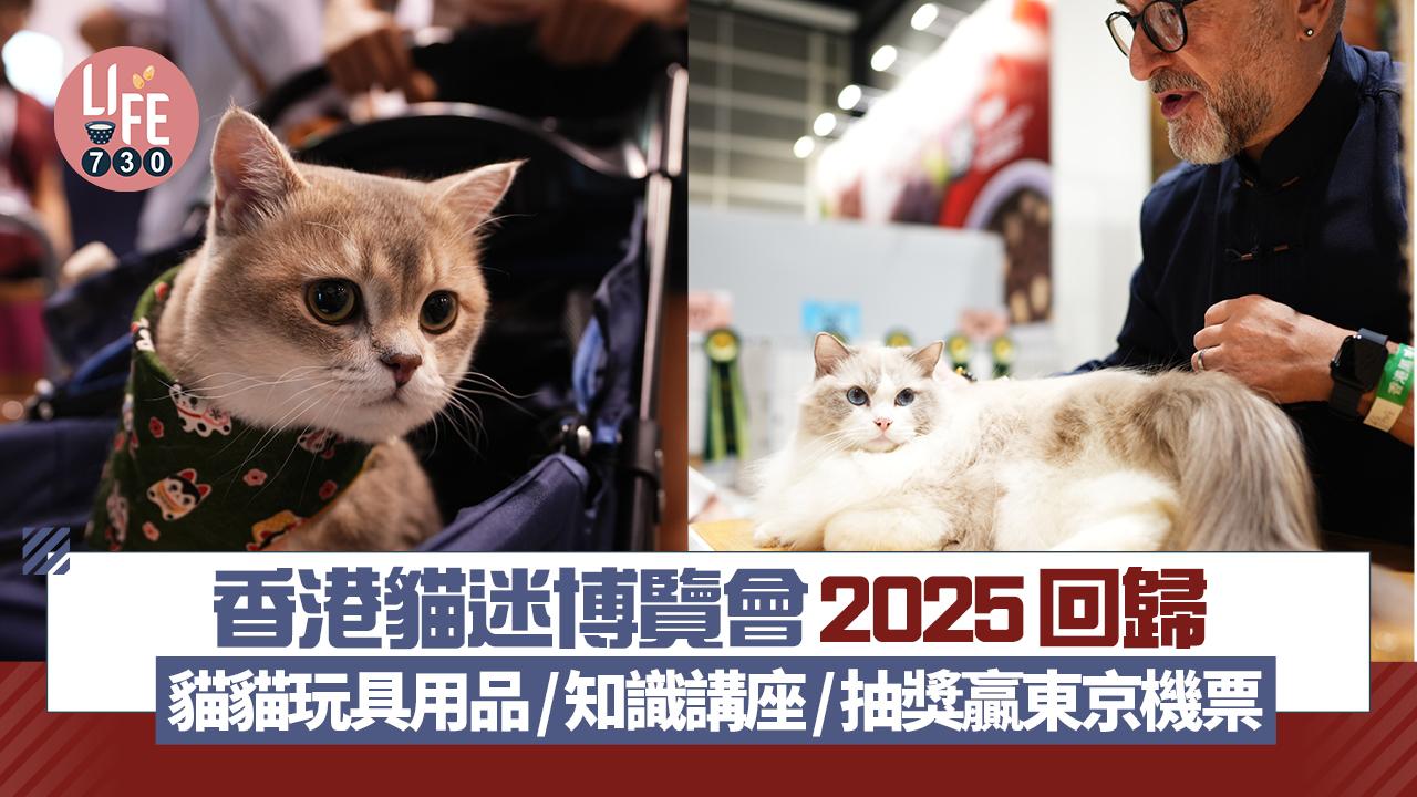 香港貓迷博覽會2025回歸 貓貓玩具用品/知識講座/抽獎贏東京機票